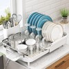 Dish Drying Rack, Expandable Dish Rack for Kitchen Counter, Stainless
