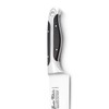 Gunter Wilhelm 10" Chef Knife – Premium German Steel, Full