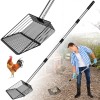 Dwulcx 10inch Large Metal Chicken Poop ScooperHeavy Duty Chicken Coop
