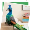 Xshelley 25 cm Realistic Peacock Plush Toy,Cute Peacock Stuffed Animal