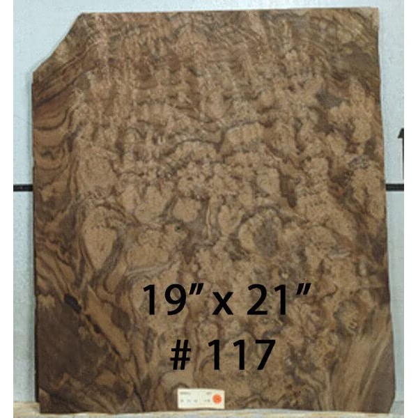 Walnut Burl Wood Veneer 19" x 21" raw no Backing