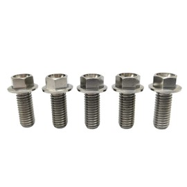 RISON Titanium Bolts M8 x 1.25 x 10 mm Titanium Screws TC4 Flange Hex Bolt Titanium Alloy Colour Titanium Flange Screw for Motorcycle, Car, Modification Hex Head Titanium Screws Pack of 5