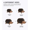 Outward Hound Hedgehogz Plush Dog Toy, Small