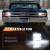 MOTRUM Backup Reverse Light Compatible with Chevy Chevelle 1966, [DOT]