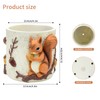 Unique Squirrel Plant Pots Cute Succulent Pots with Drainage Hole