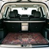 Lacut Car Trunk Mat, Red Retro, 29" x 39"