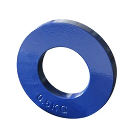 Fractional Weight Plates.25LB-.50LB-.75LB-1LB Incremental Weights, Olympic Bars Personal Record Microweight Discs, Progressive Overload - Green 0.5kg