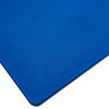 12" x 18" Blue Plastic Cutting Board w/Handle, Each