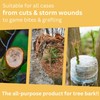 Briliantwerk 28 oz Transparent Tree Pruning Sealer - Tree Wound