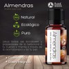VIDA SCENTS OLEOS Aceite Esencial de Almendras 10 ML 100%
