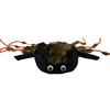 Midlee Scary Spider Costume