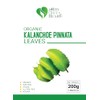 Kalanchoe Pinnata Leaves Herbal tea - 100% Pure, Dried Leaves