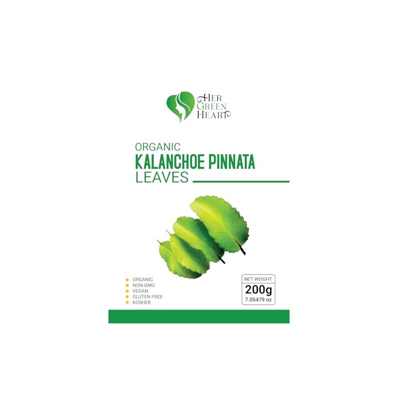 Kalanchoe Pinnata Leaves Herbal tea - 100% Pure, Dried Leaves