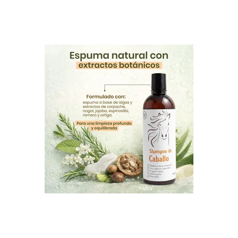 Shampoo Para Cabello Anticaida Sin Sulfatos Crecimiento