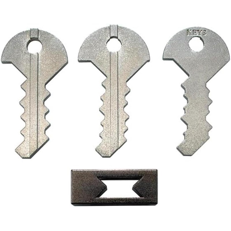Hanayama Cast Key III
