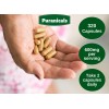 Gotu Kola Energia Mental Max Potente 320cap Americano Prime