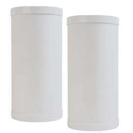 Neo-Pure NP-RFG10BB 10" BB Radial Flow GAC Carbon Filter 25 micron Compatible for for GE FXHTC, GXWH40L, GXWH35F, GNWH38S, Culligan RFC-BBSA, WRC25HD, PP10BB-CC, Pentek RFC-BB - 2 Pack