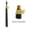 GraduatePro Matte Graduation Cap and Gown Class of 2025 Set