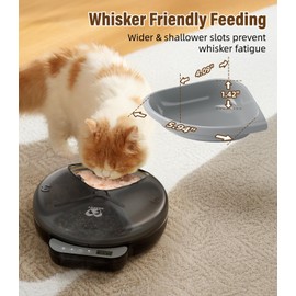 Casfuy Battery-Operated Automatic Cat Feeder - Whisker-Friendly Automatic Cat Food Dispenser for Wet Dry Food Cordless 4-Meal Auto Feeder for Cats Small Dogs with Programmable 12H/24H Format Timer