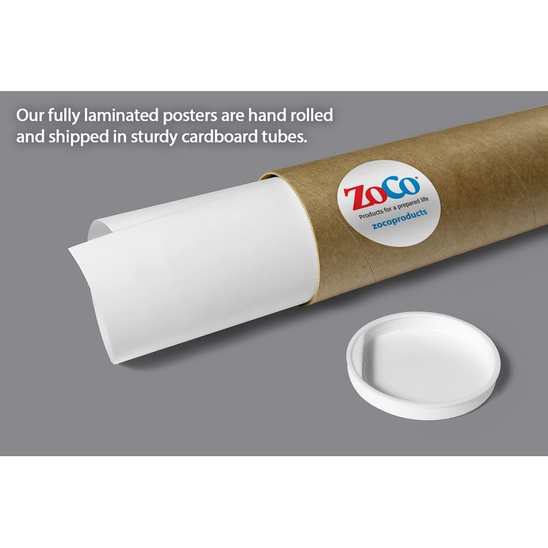 ZOCO - Science Lab Safety Rules Poster (12x18, Laminated) -