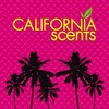 California Scents E302689700 Palms Laguna Breeze Air Freshener