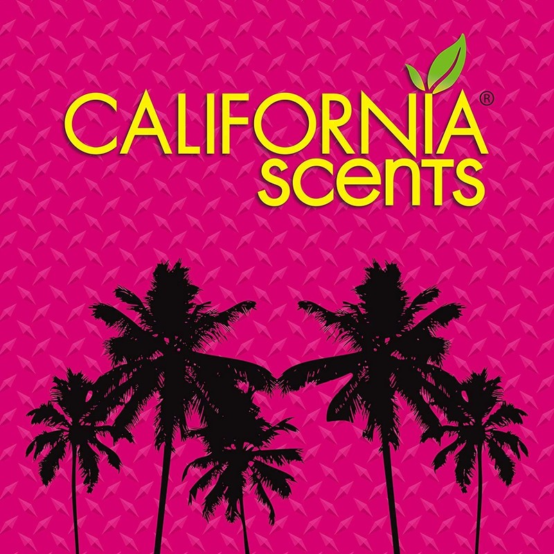 California Scents E302689700 Palms Laguna Breeze Air Freshener