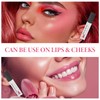 Pink Lip Serum 2 Pack,Multi-function Plump It,Lip Gloss Sets for