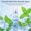 , Fresh Breath Spray, 20ml/0.68 oz Mouth Spray Mint (4-Pack)