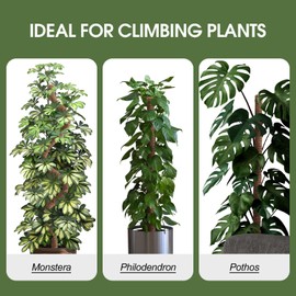 2 Pack Moss Pole, 48 Inch Bendable Moss Pole for Plants Monstera, Moss Poles for Climbing Plants, Handmade Coco Coir Pole Plant Sticks Support Plant Stakes for Indoor Plants to Grow Upwards