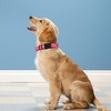 PWOD Reflective Dog Collar, Adjustable Soft Neoprene Padded Nylon Pet