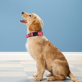 PWOD Reflective Dog Collar, Adjustable Soft Neoprene Padded Nylon Pet Collars with Buckle for Medium Dogs, Hotpink,M
