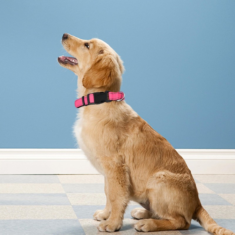 PWOD Reflective Dog Collar, Adjustable Soft Neoprene Padded Nylon Pet