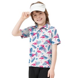 Boy's Golf Shirts Short Sleeve Polo Shirts Performance Golf Clothes Print School Uniform Tennis Tops