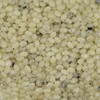 Smarty Stop Jelly Beans Every Flavor Candies (Vanilla, 2 Pound