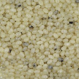 Smarty Stop Jelly Beans Every Flavor Candies (Vanilla, 2 Pound (Pack of 1))