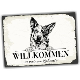 siviwonder Dog Sign Welcome Home Australian Cattle Dog No.2 Dog Sign Saying Door Sign Warning Sign Gift Idea Beautiful Saying Dog Motif Aluminium Weatherproof Dog Sign