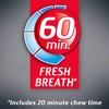 Dentyne Ice Arctic Chill Sugar Free Gum, 1 Bottle of