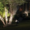 Mainstays 60 Lumens Solar Powered LED Landscape Spotlight, 2 pack