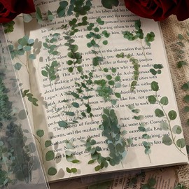 Green Transparent Leaf Stickers for Journals and DIY Crafts, Aesthetic Stickers for Scrapbook Projects, Nature Plant Scrapbook Stickers for Card Making, Planners, and Scrapbooking Supplies