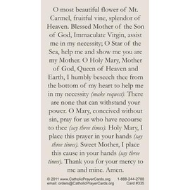 Keeping God in Sports Our Lady of Mount Carmel Prayer Card (10-Pack) with a Free Bonus Card of Divine Mercy and One of The Footprints Story