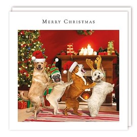 Tracks Publishing Charity Christmas Cards - Funny Dog Conga Line - Eco-Friendly - Pack of 5 Cards