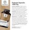 HealthyWorld® Fadogia Agrestis - 120 Capsules - For Men -
