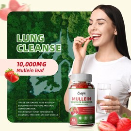 Catfit (2 Pack Mullein Gummies for Lungs – Mullein Leaf Extract with Quercetin, Elderberry for Respiratory & Immune Support,Lung Health & Breathing, Vegan, Strawberry Flavor, 60 Gummies