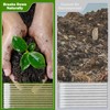 400 Pcs 6-Inch Long Cotton Swabs with Wooden Sticks –