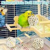PINVNBY 6 Pack Small Sola Balls Bird Toys Soft &