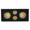 Q Power CH103S Quad Speaker Enclosure for 10-Inch Midrange Speakers