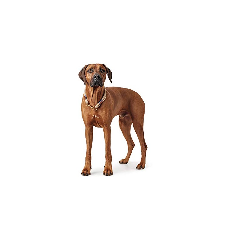 HUNTER Collar Sansibar Rantum Rope, 60 cm, Tan
