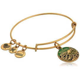 Alex and Ani Places We Love - Australia Bangle, Expandable, gold plated metal alloy