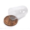 RayinblueTransparent Glass Plant Display Cloche Bell Jar Dome With Bamboo