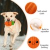 Andiker Carrot Dog Toy, 9.84'' Dog Squeaky Toys Inside with